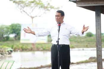 Mentan minta petani Sulsel mempercepat masa tanam saat musim hujan