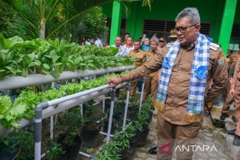 Pemkot Kendari lakukan penanaman bibit cabai dan sayuran di sekolah-sekolah