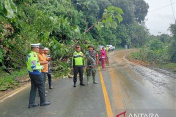 Alhamdulillah, Jalan Lintas Sumatera Sumbar-Riau bisa dilalui usai longsor