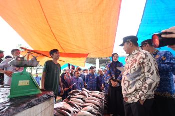 Penjabat Gubernur Sulsel tinjau stok dan harga kebutuhan pokok di Takalar