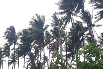 PLN imbau warga waspada penggunaan listrik saat cuaca ekstrem