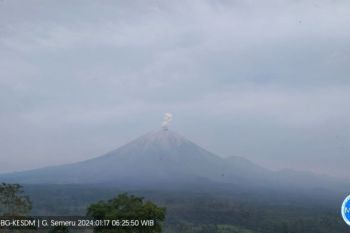 Gunung Semeru kembali erupsi
