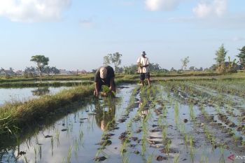 Kementan maksimalkan modernisasi irigasi