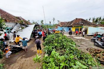 Jumlah rumah terdampak puting beliung di Bondowoso bertambah jadi 202