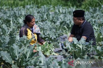 Blusukan ke Lamongan, Gus Nabil cari solusi permasalahan pupuk