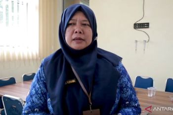 Pemkab Tanah Datar bakal gelar simulasi bencana di sekolah yang berpotensi terdampak erupsi Gunung Marapi