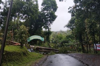 BPBD Banyumas ingatkan warga peningkatan kecepatan angin