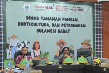Dinas TPHP Sulbar bersama BI akselerasi program pengendalian inflasi