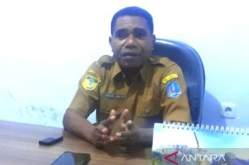 DPKP Biak bidik pemasaran ternak babi ke Wamena