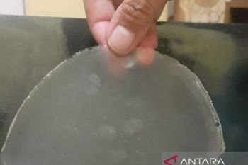 Pemanfaatan Limbah Keju Menjadi Kemasan Fungsional (Edible Film Whey)