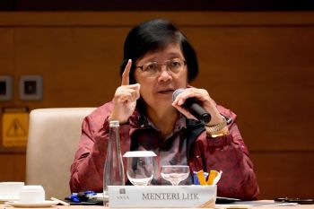 Pemerintah dorong peran multi pihak untuk capai target NDC