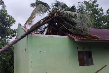 BMKG ingatkan warga NTT potensi angin kencang hingga 50 km/jam