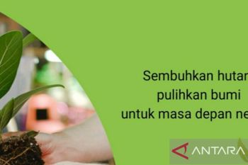 Refleksi PSDA Sumbar: ancaman bencana ekologis dan antisipasinya melalui perhutanan sosial