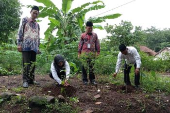 Di TPS masing-masing, 24.430 anggota KPPS Jepara tanam bibit pohon