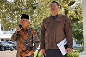 Ma'ruf Amin: Bawaslu seharusnya selidiki dugaan politisasi beras bansos