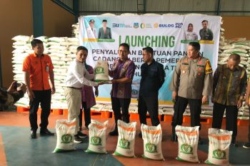 Pemda Koltim Launching Penyaluran Bantuan Pangan CBP