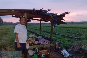 Mengenaskan, 12 orang tersambar petir, satu meninggal