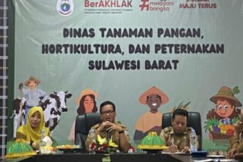 Dinas TPHP Sulbar indetifikasi kematian ternak babi di Papalang Mamuju