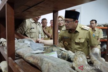 Pemkab Kudus jadikan  Museum Patiayam objek wisata edukasi