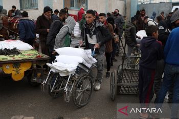 Sekitar 58.000 orang tewas akibat agresi Israel di Jalur Gaza lampaui