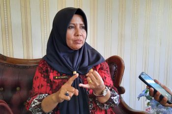 Pemkot Pariaman targetkan investasi pada 2024 capai Rp61 miliar