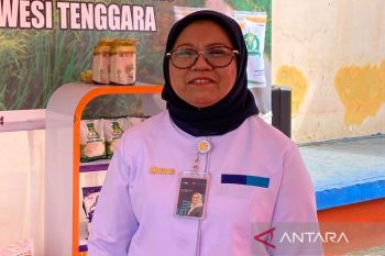 Bulog Sultra pastikan stok pangan aman hingga bulan Ramadhan