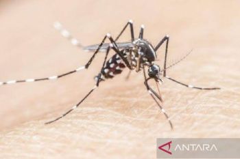 Pemkot Batam temukan 195 kasus malaria selama 2025