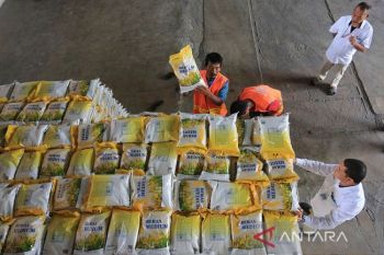 Bapanas sebut program bantuan pangan beras untuk kendalikan harga