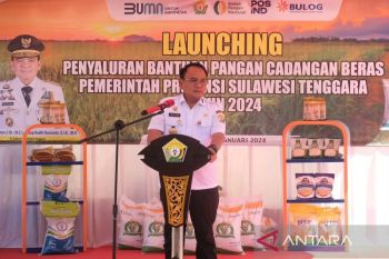 Pj Gubernur Sultra: Waspada penyakit Leptospirosis memasuki musim hujan