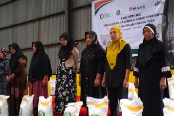 Bulog Bulukumba menyalurkan bantuan beras 315.540 ton