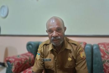 Dinas Pertanian Kota Jayapura fokus kembangkan komoditas jagung