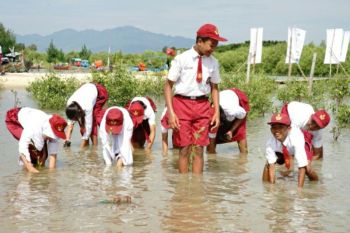 PLN lanjutkan perkokoh Pantura Jateng dengan mangrove hingga 100 ha
