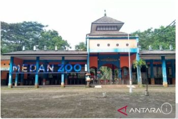 Meski 4 harimau mati, wisatawan masih kunjungi Medan Zoo