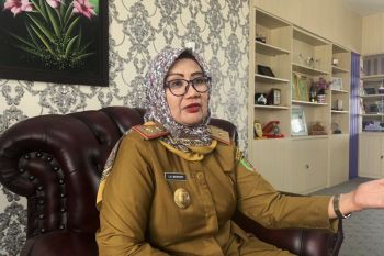 Lampung ajukan bebas hog cholera pada babi di 2024