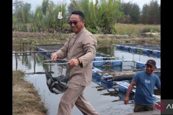 Bupati Belitung Timur apresiasi warga budidayakan ikan lele