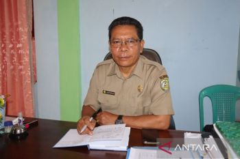 Petani di Mabar diminta tanam palawija hadapi dampak El Nino