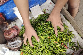BI Lampung sebut beberapa komoditas perlu diperhatikan berkala jaga inflasi