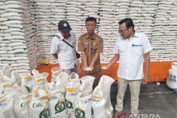 Pemkab Jayapura: Penerima bantuan pangan sebanyak 14.671 keluarga