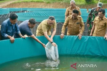 Pemkot apresiasi gapoktan di Sabang budi daya lele untuk ketahanan pangan