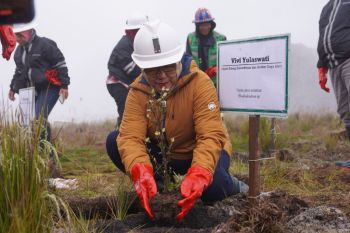 KLHK-Bappenas RI kunnjungi areal reklamasi PT Freeport Indonesia