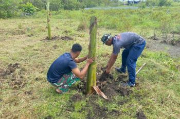 Lanal Ranai Natuna manfaatkan lahan tidur untuk tanam padi gogo