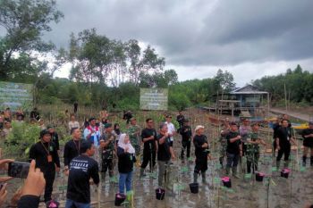 Hari Lahan Basah Sedunia Dengan Aksi Penanaman Pohon di Tarakan