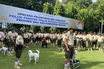 Gubernur Bali instruksikan Satpol PP Pariwisata edukasi wisatawan