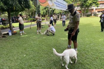 Satpol PP Pariwisata kenalkan lima anjing lokal sahabat turis