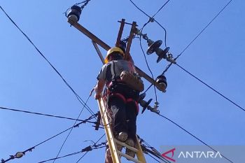 PLN Suluttenggo cegah stunting dengan bagikan paket gizi