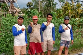 Pemkab Sigi: Program pertanian organik tingkatkan kesejahteraan