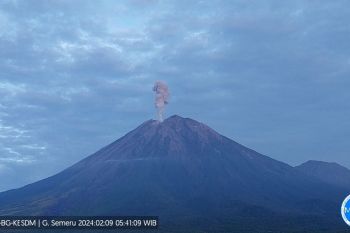 Gunung Semeru erupsi setinggi satu km