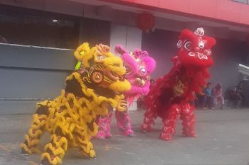 Umat Buddha Biak meriahkan Tahun Baru Imlek atraksi barongsai