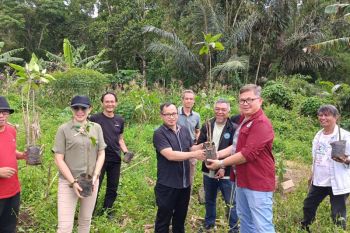 Iskindo Sulut tanam pohon dukung pengendalian dampak perubahan iklim