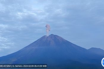 Gunung Semeru  mengalami ratusan kali aktivitas kegempaan dalam sehari